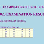 thumb-csee-2020-examination-results