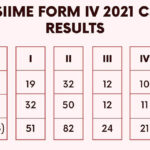 thumb-csee-2021-examination-results