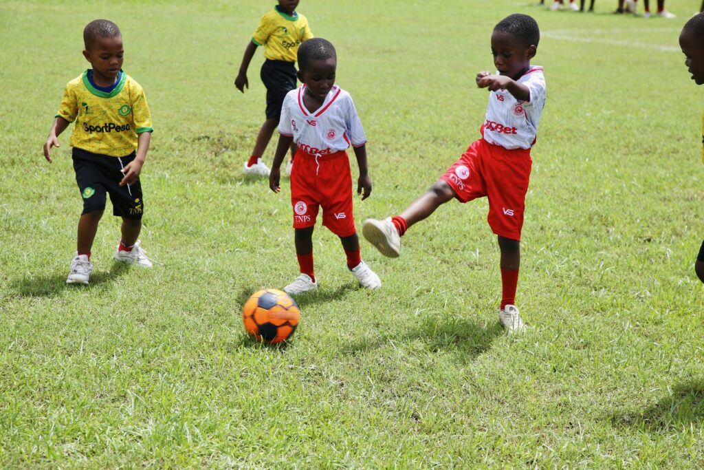 A big kick sends the ball upfield
