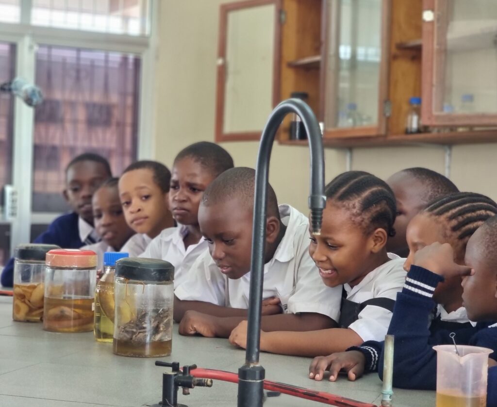 Curious faces study the specimen jars